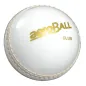 Aero Ball Club (White)