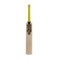 GM Psyche Limited Edition Cricket Bat (2025)