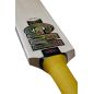 GM Psyche Limited Edition Cricket Bat (2025)