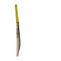 GM Psyche 404 Junior Cricket Bat (2025)