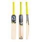 Chase F-16 Elite Performance Cricket Bat (2025)