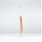 Gray Nicolls Neocore Player Edition Cricket Bat (2025)