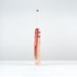 Gray Nicolls Neocore 500 Cricket Bat (2025)