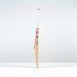 Gray Nicolls Classic Academy Cricket Bat (2025)