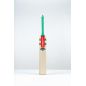 Gray Nicolls Ventus 1.0 Power Junior Cricket Bat (2025)