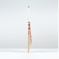 Gray Nicolls Ventus 1.1 5 Star Lite Cricket Bat (2025)