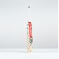 Gray Nicolls Ventus 1.1 5 Star Lite Cricket Bat (2025)