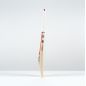 Gray Nicolls Ventus 1.1 5 Star Lite Cricket Bat (2025)