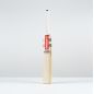 Gray Nicolls Ventus 1.1 5 Star Lite Cricket Bat (2025)