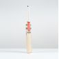 Gray Nicolls Ventus 1.1 5 Star Lite Cricket Bat (2025)