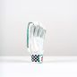 Gray Nicolls Ventus 1.0 600 Cricket Gloves (2025)