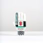 Gray Nicolls Ventus 1.0 600 Cricket Gloves (2025)