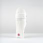 Gray Nicolls Classic Select Cricket Pads (2025)
