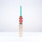 Gray Nicolls Ventus 1.0 Off Cuts Junior Cricket Bat (2025)
