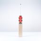 Gray Nicolls Ventus 1.1 5 Star Lite Cricket Bat (2025)