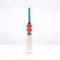 Gray Nicolls Stratos 1.0 Cameo Junior Cricket Bat (2025)