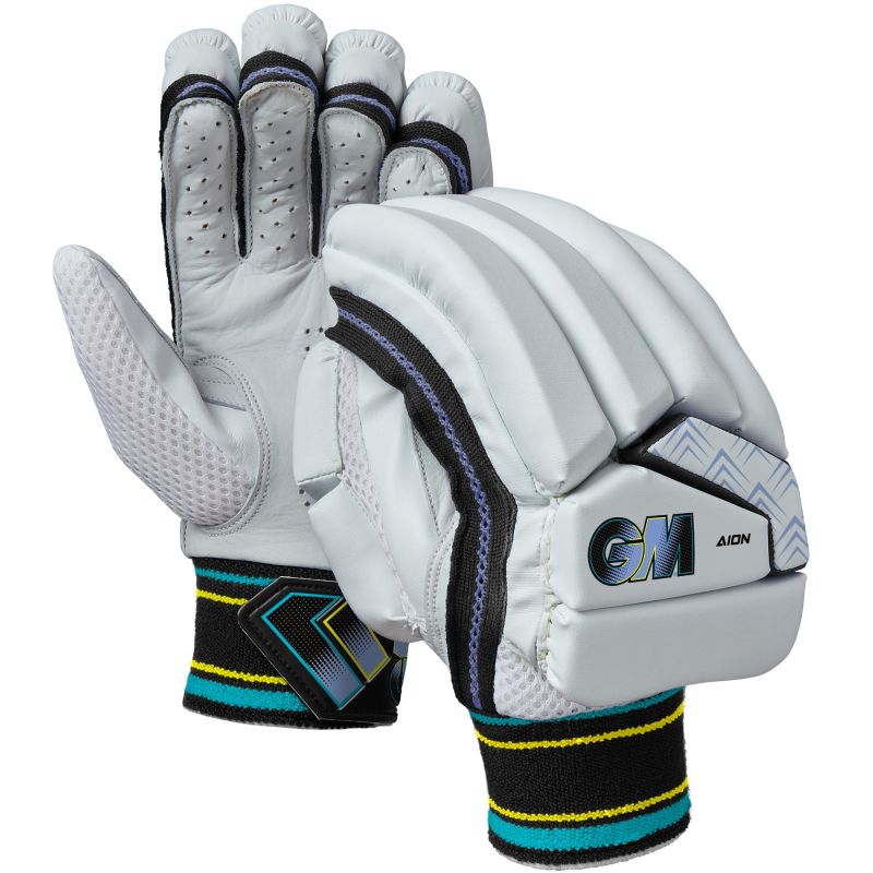 GM Aion Cricket Gloves (2025)