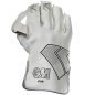 GM 606 Wicket Keeping Gloves (2025)