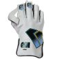 GM Aion Junior Wicket Keeping Gloves (2025)