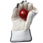 GM Aion Junior Wicket Keeping Gloves (2025)