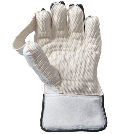 GM Aion Junior Wicket Keeping Gloves (2025)