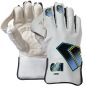 GM Aion Junior Wicket Keeping Gloves (2025)