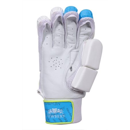 Newbery Pulse Cricket Gloves (2025)