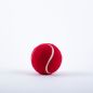 Gray Nicolls Tennis Ball - Red (2025)