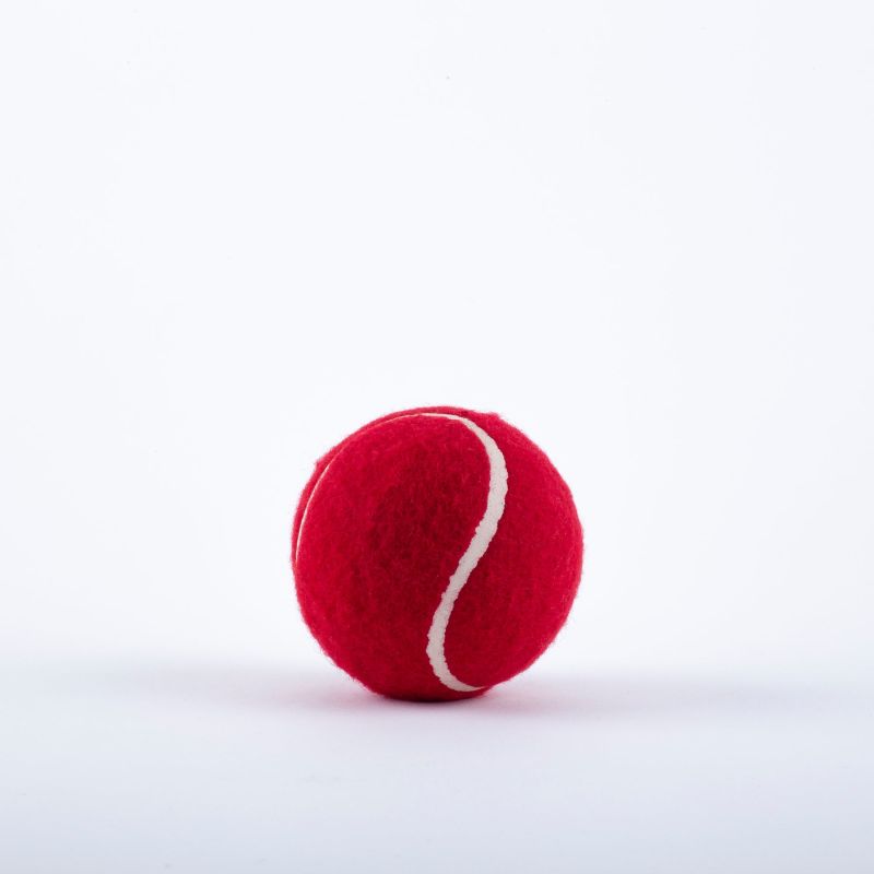 Gray Nicolls Tennis Ball - Red (2025)