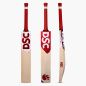 DSC Flip 2.0 Cricket Bat