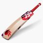 DSC Flip 2.0 Cricket Bat