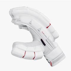 DSC Flip Players Cricket Gloves