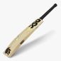DSC Xlite Limited Edition Cricket Bat