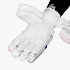 DSC Krunch 3000 Cricket Gloves (2025)