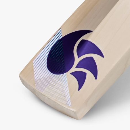 DSC Blu 3000 Junior Cricket Bat (2025)