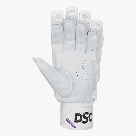 DSC Blu Players Cricket Gloves (2025)