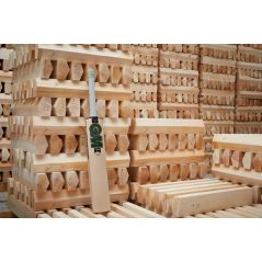 GM Verva 606 Cricket Bat - Saim Ayub